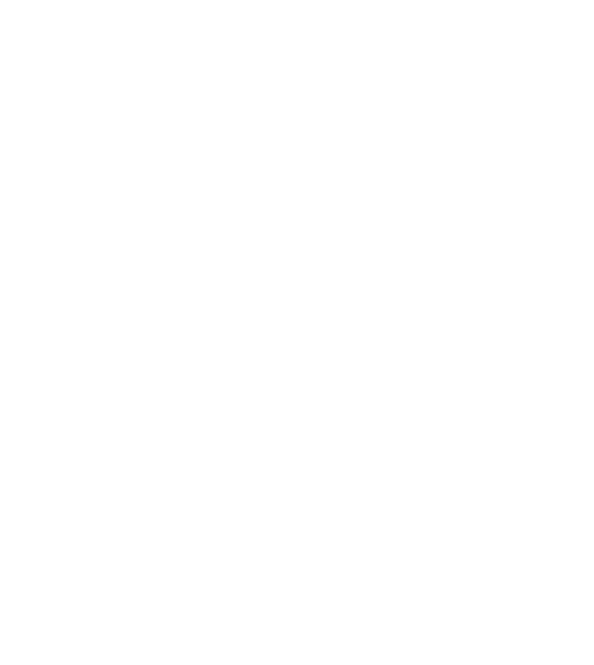 British Heart Foundation